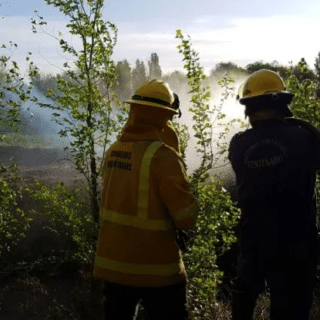 NEUQUÉN: Sigue la pelea por un abogado que usurpó e incendió una chacra: “Mi casa está ocupada”