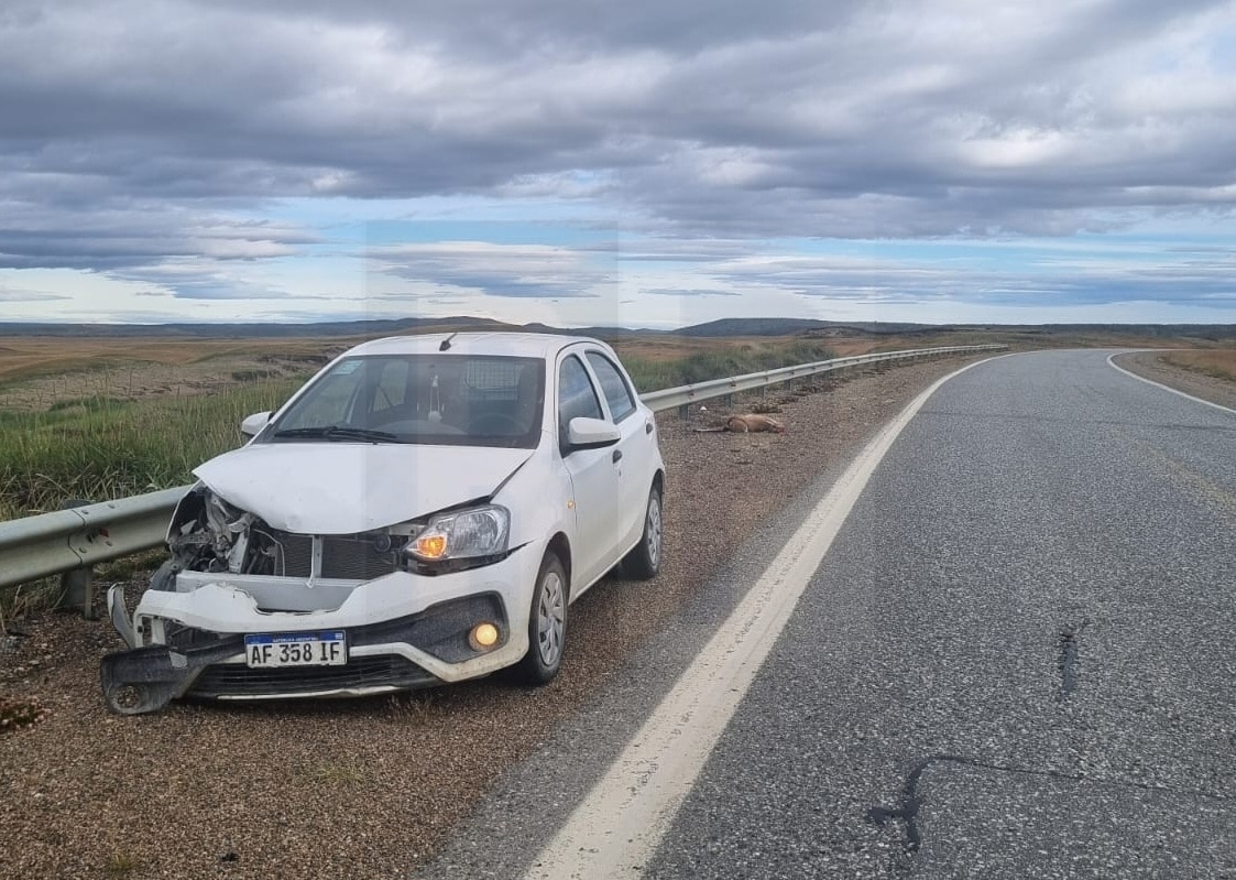 Otro choque de un automovilista contra un guanaco en ruta 3